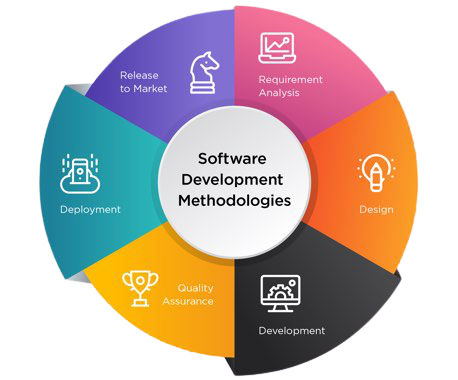 software development life cycle