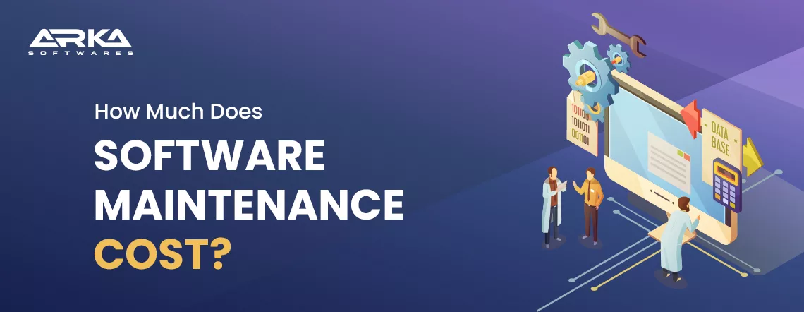 Software Maintenance Cost