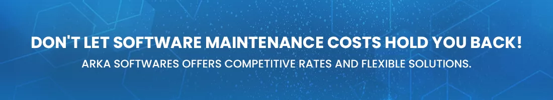 custom software maintenance cost