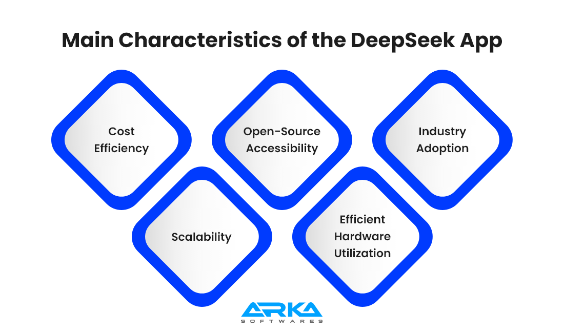 Main Characteristics of the DeepSeek App 